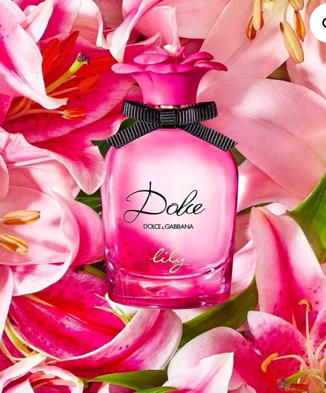 Dolce&Gabbana Dolce Lili 2.5 oz EDT for women